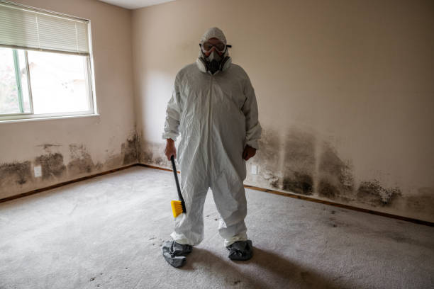 Best Residential Mold Removal  in Algonquin, IL